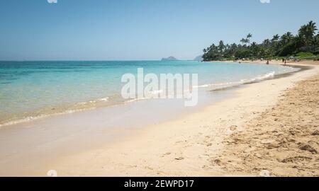 Spiaggia di sabbia tropicale con acque azzurre, sparato a Kailua Beach, Oahu, Hawaii, USA Foto Stock