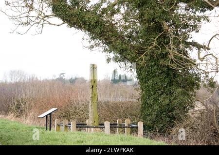 La quercia Gibbert posta a Bilstone, Leicestershire, che il corpo impiccato di John Massey è stato incatenato dopo la sua esecuzione. Foto Stock