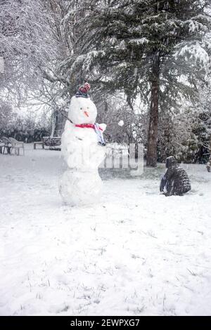 Pupazzo di neve, Medstead, Hampshire, Inghilterra, Regno Unito. Foto Stock