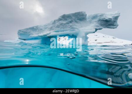 Vista sopra e sotto di un arco formato in un iceberg a Cuverville Island, canale di Ererra, Antartide, regioni polari Foto Stock