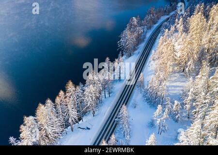 Strada vuota che attraversa la foresta invernale coperta di neve accanto al lago di Sils, vista aerea, Engadina, Cantone di Graubunden, Svizzera, Europa Foto Stock
