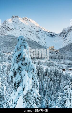 Alberi ricoperti di neve nella foresta che circonda il vecchio castello di Tarasp e le montagne, Engadina, Cantone di Graubunden, Svizzera, Europa Foto Stock