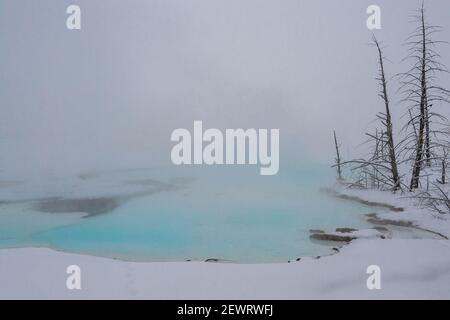 Blue Thermal è protetto dalla nebbia, dal parco nazionale di Yellowstone, patrimonio dell'umanità dell'UNESCO, dal Wyoming, dagli Stati Uniti d'America, dal Nord America Foto Stock