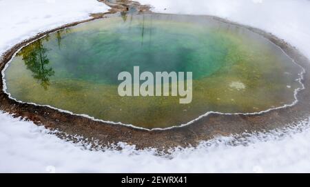 Mattina Glory piscina termale nella neve, Yellowstone National Park, patrimonio dell'umanità dell'UNESCO, Wyoming, Stati Uniti d'America, Nord America Foto Stock