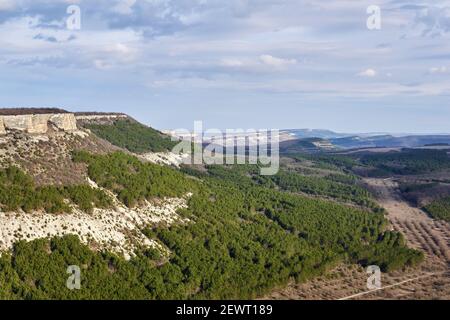 Paesaggio - scarpland con cueste e piantagioni di foresta nel centro Crimea Foto Stock