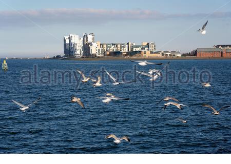 Sviluppo moderno a Leith, vista sul Forth estuario da Newhaven, Edimburgo, Scozia Foto Stock