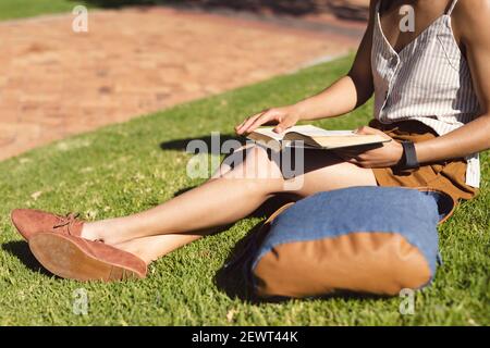 Sezione centrale della donna afroamericana seduta sull'erba e leggendo un libro nel parco Foto Stock