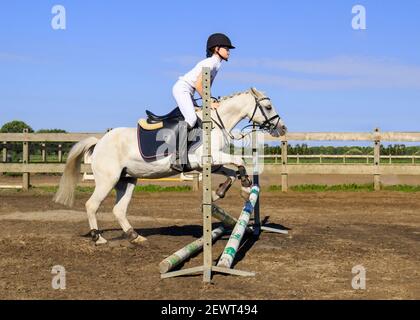 Il giovane pilota salta con il cavallo su un ostacolo. L'Olanda ha 500,000 piloti e 450,000 cavalli. Ci sono 1,500 associazioni di equitazione. Foto Stock