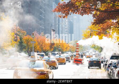 Uptown Manhattan Park Avenue il traffico passa attraverso sotto il fusto crescente tra le file di alberi di colore delle foglie autunnali a New York City NY USA. Foto Stock