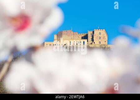 Castello di Hambach in Neustadt Germania con mandorle fiorite in l'assedio Foto Stock