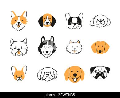 Set di teste di cani di razze diverse. Corgi, Pug, Chihuahua, Terrier, Retriever, Dachshund, Poodle. Illustrazione Vettoriale