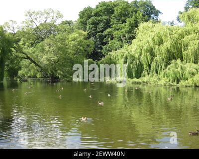 Thwaite Hall Gardens vista lago a Cottingham, East Yorkshire Foto Stock