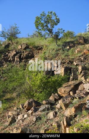 Un pendio roccioso di una cava di granito abbandonata nella regione di Nikolaev in Ucraina in una calda giornata estiva. Pietre affilate sopravite con vegetazione sparsa. Blu Foto Stock