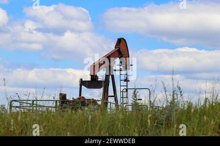 Martinetto pompa di lavoro arancione su olio o gas ben acceso orizzonte di campo verde con caraffa di prodotti chimici seduto accanto e l'erba e i fiori selvatici si offuscavano in th Foto Stock