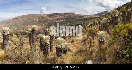 Panorama a Paramó de Ocetá, Monguí, Boyacá, Colombia Foto Stock