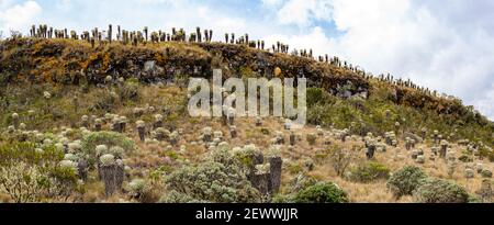 Panorama a Paramó de Ocetá, Monguí, Boyacá, Colombia Foto Stock