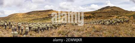 Panorama a Paramó de Ocetá, Monguí, Boyacá, Colombia Foto Stock