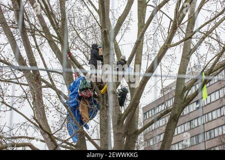 York Gardens, Londra, Regno Unito. 3rd marzo, 2021. Marcus Decker, 33, vicino al banner della campagna di protezione degli alberi a cui partecipa. È il decimo giorno di albero-seduta per i protettori della terra che stanno occupando un albero nero di pioppo di 100 anni dovuto essere abbattuto lunedì, 22nd di febbraio, 2021, da una joint venture fra le case di Wimpey di Taylor ed il Consiglio di Wandsworth. Credit: SABRINA MEROLLA/Alamy Live News Foto Stock