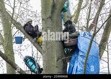 York Gardens, Londra, Regno Unito. 3rd marzo, 2021. Marcus Decker, 33, vicino al banner della campagna di protezione degli alberi a cui partecipa. È il decimo giorno di albero-seduta per i protettori della terra che stanno occupando un albero nero di pioppo di 100 anni dovuto essere abbattuto lunedì, 22nd di febbraio, 2021, da una joint venture fra le case di Wimpey di Taylor ed il Consiglio di Wandsworth. Credit: SABRINA MEROLLA/Alamy Live News Foto Stock