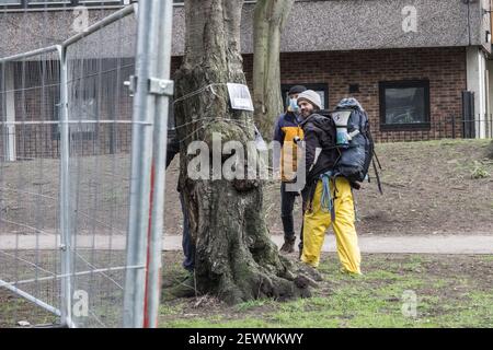 York Gardens, Londra, Regno Unito. 3rd marzo, 2021. È il decimo giorno di albero-seduta per i protettori dell'albero che stanno occupando l'albero nero di pioppo 100-year-old dovuto essere abbattuto lunedì scorso, 22nd di febbraio, 2021, da una joint venture fra le case di Wimpey di Taylor ed il Consiglio di Wandsworth. Il protettore dell'albero Marcus Decker, 32 anni, ha deciso di scendere dall'albero oggi, una folla esilarante di residenti locali lo accoglie a terra. Foto Stock