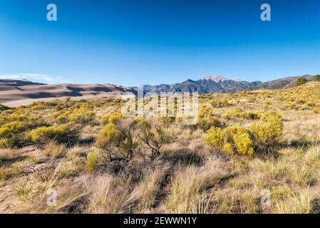 Paesaggio del deserto nel Parco Nazionale delle dune di sabbia, Colorado Foto Stock