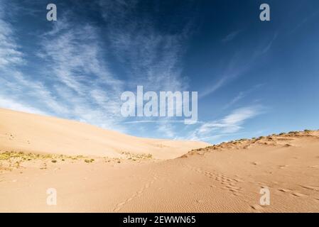 Great Sand Dunes National Park, COLORADO Foto Stock