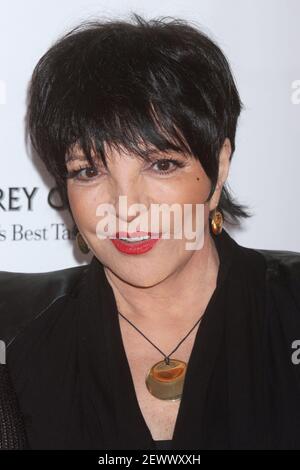 Liza Minnelli partecipa alla Film Society of Lincoln Center's 40 ° anniversario Chaplin Award Gala onorando Barbra Streisand presso Avery Fisher Hall a New York City il 22 aprile 2013. Foto: Henry McGee/MediaPunch Foto Stock