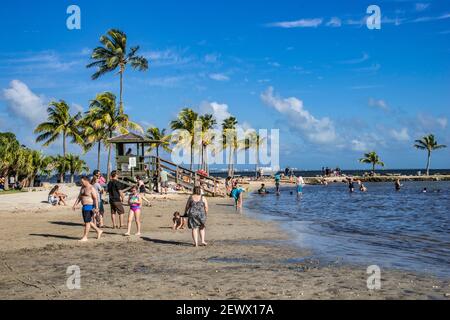 Gli amanti della spiaggia godendo della piscina atollo al Matheson Hammock Park a Miami, Florida. Foto Stock