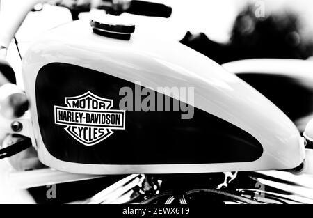 Motocicletta Harley Davidson. Bianco e nero Foto Stock