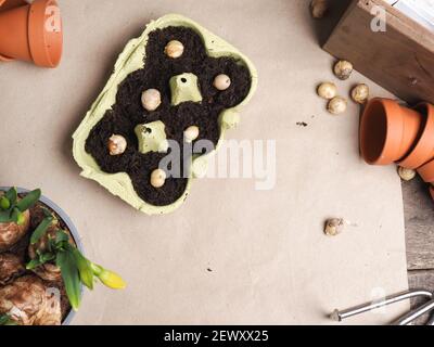Attrezzi di giardinaggio su un tavolo di legno, tempo di primavera o concetto di giardinaggio Foto Stock