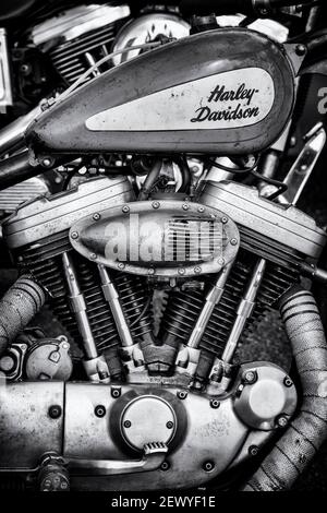 Harley Davidson Bobber Moto. Bianco e nero Foto Stock