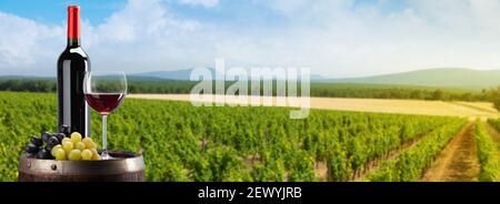 Bottiglia di vino rosso, bicchiere e uva su botte di fronte al paesaggio di vigneto. Giorno estivo soleggiato. Valle di campagna francese Foto Stock