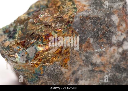 Un minerale di bornite e calcopirite isolato su sfondo bianco Foto Stock