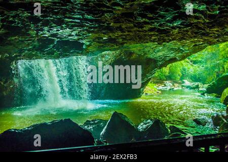 Natural Bridge, Queensland, Australia Foto Stock