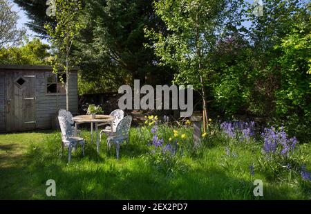 Posto a sedere presieduto in metallo nell'area selvaggia del giardino inglese Foto Stock