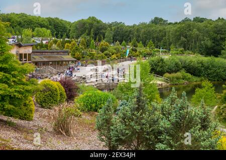 Bedgebury Pinetum nazionale e foresta, lady oak lane, goudhurst, kent, Regno Unito Foto Stock