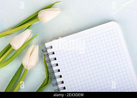 Tulipani bianchi e un foglio bianco di blocco note. Vista dall'alto. Spazio di copia. Foto Stock