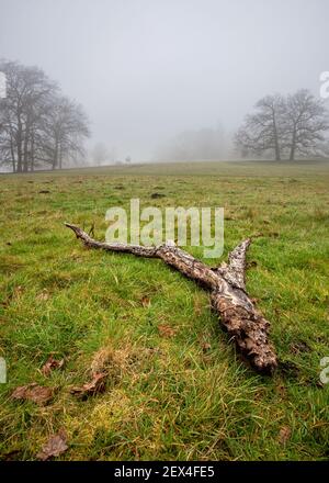 Campi di Misty di Chiltern Hills nella zona di Latimer, Buckinghamshire, Regno Unito Foto Stock