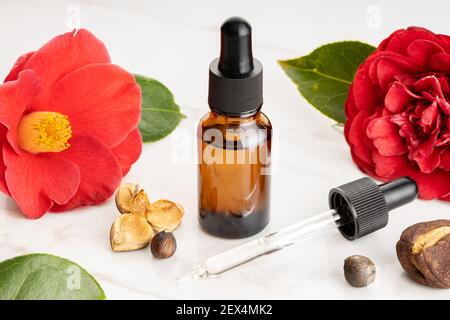 Olio essenziale Camellia. Fiori di Camellia, semi e bottiglia di olio di vetro per la bellezza, la cura della pelle, il benessere. Rimedi a base di erbe Foto Stock