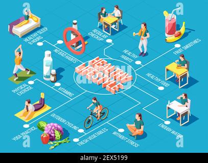 Diagramma di flusso sano dello stile di vita con esercizi fisici di ciclismo all'aperto pratica yoga controllo regolare cibo fresco icone isometriche illustrazione vettoriale Illustrazione Vettoriale