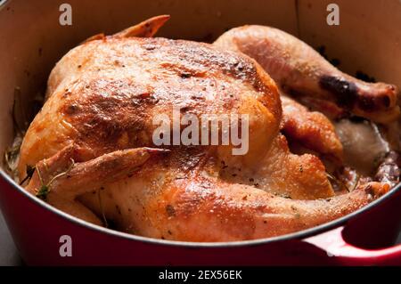 pollo arrosto intero in citronella e latte di cocco, forno olandese Foto Stock