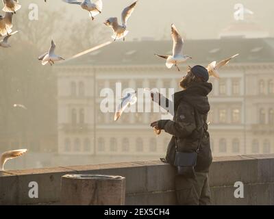 Praga, Repubblica Ceca. 03-02-2021. Senzatetto che alimenta i piccioni sul Ponte Carlo nel centro della città di Praga durante l'inverno. Foto Stock