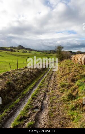 Muddy traccia ex romana strada verso Heddington, Wiltshire, Inghilterra, Regno Unito Foto Stock