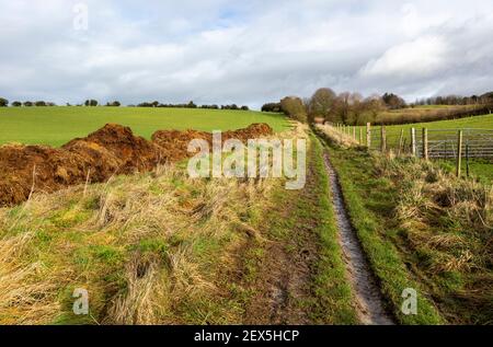 Muddy traccia ex strada romana da Heddington, Wiltshire, Inghilterra, Regno Unito Foto Stock