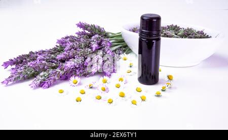 Bouquet di lavanda primo piano su sfondo bianco Foto Stock