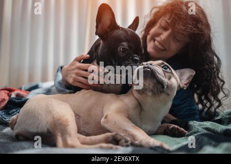 femmina e coppia carino cani da corrida francesi che riposano o giocano a letto a casa Foto Stock