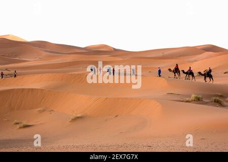 Marocco, Erg Chebbi, dune di sabbia nei pressi di Merzouga, persone che attraversano le dune a cammello. Le dune possono raggiungere altezze di 250 metri Foto Stock