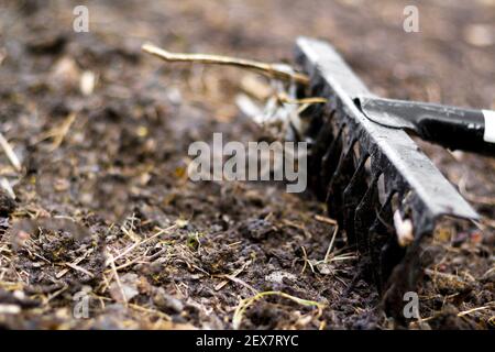 Primo piano rastrello da giardino. Rastrello di metallo nero è tirato attraverso suolo asciutto pronto per piantare. Rastrello vecchio su un letto di giardino. Pulizia di molla. Rastrello da giardino rak Foto Stock