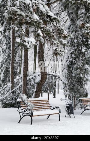 Panca in parco con abeti e pini in caduta dopo carico di slittino e neve pesante sullo sfondo. Neve-coperto strada invernale in una città. Meteo Foto Stock