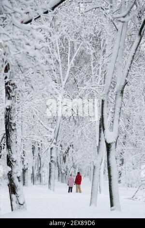 Una coppia, un uomo e una donna che tengono insieme le mani nel parco invernale innevato. Alberi coperti di ghiaccio e neve, carico di slittino. Concetto di previsioni del tempo Foto Stock